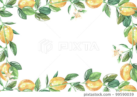 Rectangular frame of lemons, leaves and flowers. Watercolor illustration. Place for inscription or text. Isolated on a white background.For design kitchen accessories, jam stickers, product packaging Rectangular frame of lemons, leaves and flowers. Watercolor illustration. Place for inscription or text. Isolated on a white background.For design kitchen accessories, jam stickers, product packaging 99590039