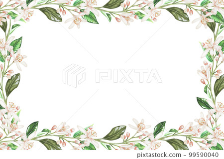 Rectangular frame of small branches of flowers. White buds of citrus. Place for inscription or text. Watercolor illustration.Isolated on a white background. For your design stickers, napkins, cards 99590040