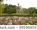 Flower bed in Tsurumai Park (Showa Ward, Nagoya City, Aichi Prefecture) 99590459