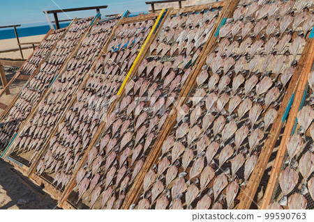 Traditional fish-drying on the beach of Nazare, Portugal 99590763
