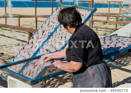 Portugese woman drying fish on the beach. Traditional portuguese food snacks Portugese woman drying fish on the beach. Traditional portuguese food snacks 99590774