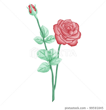 Red Roses Flowers Romantic Watercolor Clipart. Paris In Love collection with lovely love roses flowers for romantic design element, love art, wedding watercolor illustration. Red Roses Flowers Romantic Watercolor Clipart. Paris In Love collection with lovely love roses flowers for romantic design element, love art, wedding watercolor illustration. 99591845
