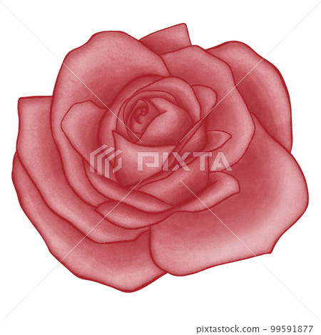 Red Rose Flowers Cute Romantic Watercolor Clipart. Paris In Love collection with rose flowers bouquet for romantic design element, love art, wedding watercolor illustration. Red Rose Flowers Cute Romantic Watercolor Clipart. Paris In Love collection with rose flowers bouquet for romantic design element, love art, wedding watercolor illustration. 99591877