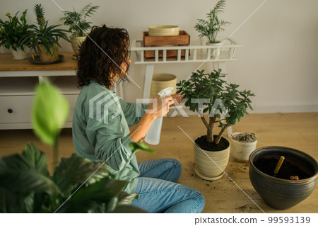 Woman watering plants in home. Making homework. Domestic life concept Woman watering plants in home. Making homework. Domestic life concept 99593139