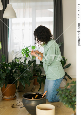 Woman watering plants in home. Making homework. Domestic life concept 99593223