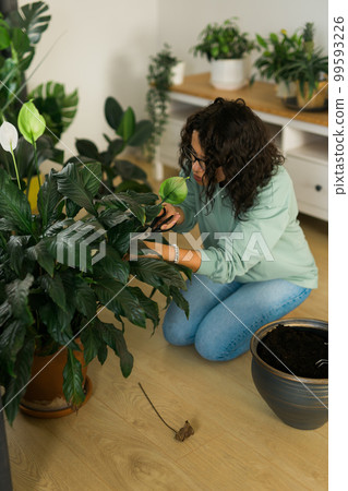 Woman watering plants in home. Making homework. Domestic life concept 99593226