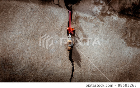 Abstract photo of sunlight shined through old garland at the morning in the old concrete wall cracks. Abstract photo of sunlight shined through old garland at the morning in the old concrete wall cracks. 99593265