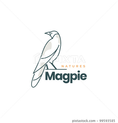 magpie bird perched on branch exotics lines art modern colored logo design vector icon illustration template 99593585