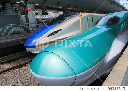 Hayabusa and Kagayaki Tohoku Shinkansen and Hokuriku Shinkansen line up at Tokyo Station Hayabusa and Kagayaki Tohoku Shinkansen and Hokuriku Shinkansen line up at Tokyo Station 99593845