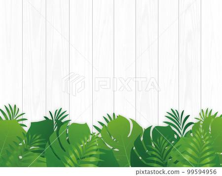 蒙特蘇拉度假村熱帶背景素材 蒙特蘇拉度假村熱帶背景素材 99594956