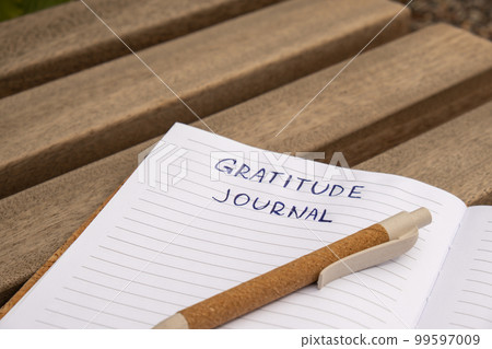 Writing Gratitude Journal on wooden bench. Today I am grateful for. Self discovery journal, self reflection creative writing, self growth personal development concept. Wellbeing spiritual health, 99597009