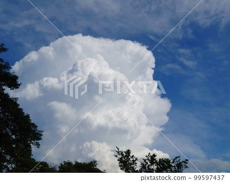 Sky and Thunderhead 99597437