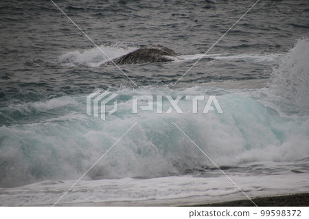 洶湧的波浪和飛濺的春天 99598372