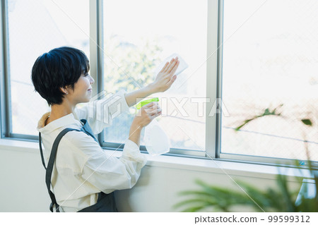 Window cleaning 99599312