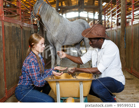 Man and woman near wheelbarrow with corn 99599321