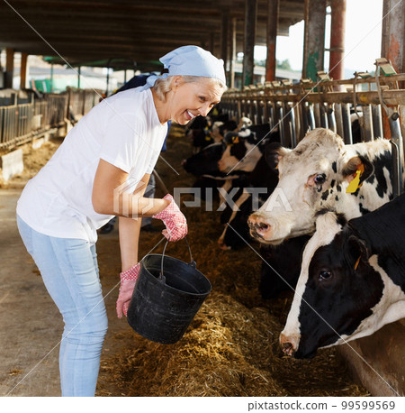two active employees working in cowshed 99599569