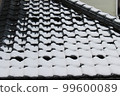 Snow roof 99600089