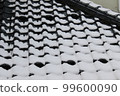 Snow roof 99600090