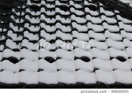 Snow roof 99600091