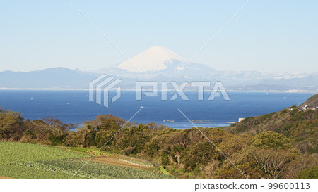 從湘南村看到的富士山 99600113