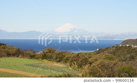 從湘南村看到的富士山 從湘南村看到的富士山 99600114