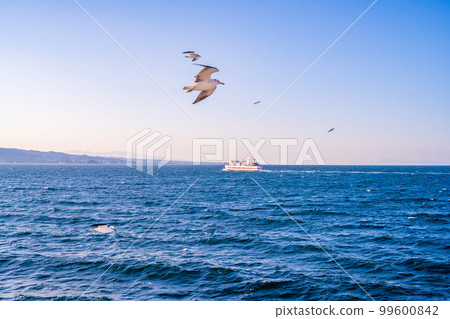 Beautiful scenery that can be seen from the Ariake Sea (sunshine, wild birds and seagulls) Ferry voyage and travel (from Shimabara Port to Kumamoto Port) 99600842