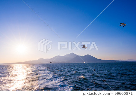 Beautiful scenery that can be seen from the Ariake Sea (Shimabara Peninsula and sunlight/wild bird seagulls) Ferry voyage/travel (From Shimabara Port to Kumamoto Port) 99600871