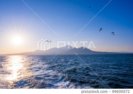 Beautiful scenery that can be seen from the Ariake Sea (Shimabara Peninsula and sunlight/wild bird seagulls) Ferry voyage/travel (From Shimabara Port to Kumamoto Port) 99600872