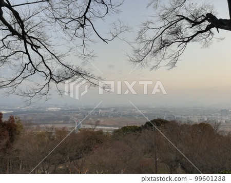 202102_Iwashimizu Hachimangu Shrine_Observation 99601288