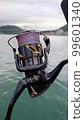 Shimano Stella SW reel 99601340