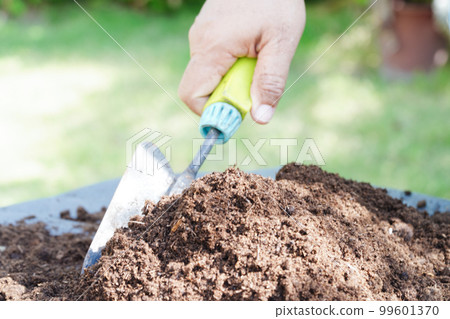 Peat moss, fertilizer soil for organic agriculture, plant growing, ecology concept. Peat moss, fertilizer soil for organic agriculture, plant growing, ecology concept. 99601370