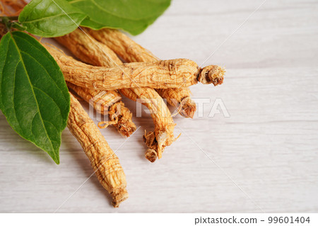 Ginseng roots and green leaf, healthy food. 99601404