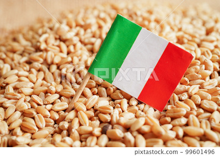 Italy on grain wheat, trade export and economy concept. 99601496