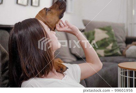 Young woman pets her dog while relaxing in the living room Young woman pets her dog while relaxing in the living room 99601956