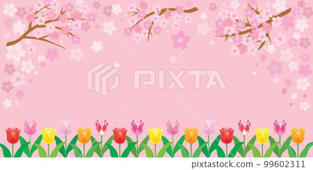 cherry blossoms and tulips pink background illustration 99602311