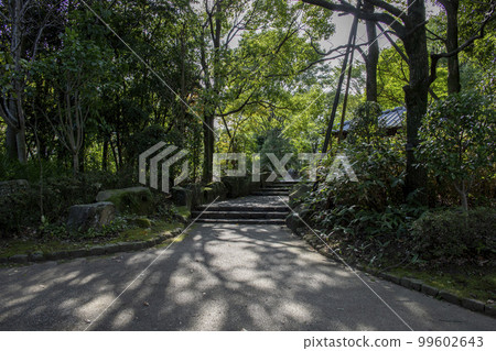 Image of the scenery around Sekiyado Castle Image of the scenery around Sekiyado Castle 99602643