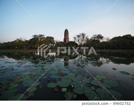 Wat Phra Ram (Ayutthaya, Thailand) 2023 99602782