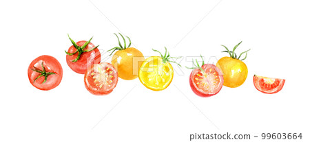 Mini tomato line design watercolor illustration vector 99603664
