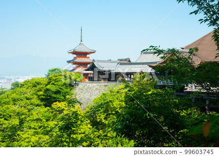 《京都市》新綠閃耀的世界遺產清水寺 《京都市》新綠閃耀的世界遺產清水寺 99603745