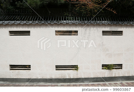 Transparent fence 99603867