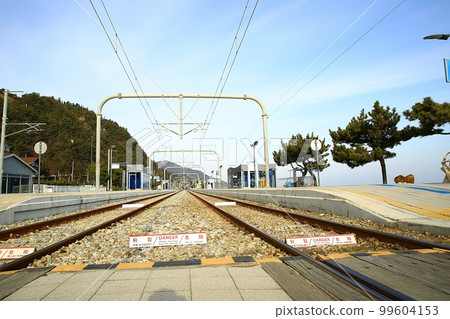 冬季旅行，日出風光，海灘風光，正東津 99604153