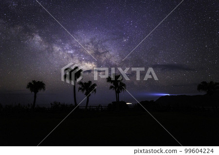 《Miyazaki Prefecture Canna Flower Garden》The Milky Way and Toi Misaki Lighthouse seen from Koigaura Observatory 《Miyazaki Prefecture Canna Flower Garden》The Milky Way and Toi Misaki Lighthouse seen from Koigaura Observatory 99604224
