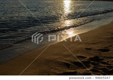 Sandy beach at dusk 99605047