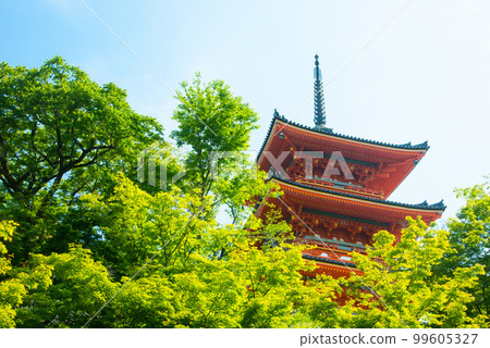 《京都市》新綠閃耀的世界遺產清水寺 《京都市》新綠閃耀的世界遺產清水寺 99605327