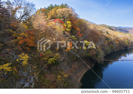 Aerial photography of "Lake Eniwa" in autumn with a drone 99605751