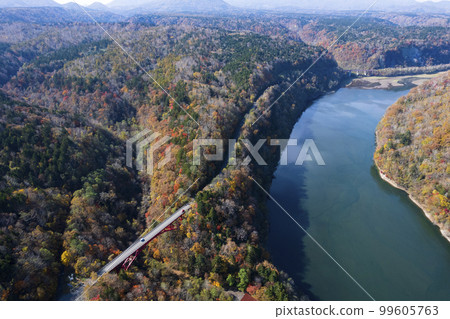 Aerial photography of "Lake Eniwa" in autumn with a drone 99605763