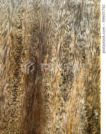 Dirty wood wall as the textured background Dirty wood wall as the textured background 99605792