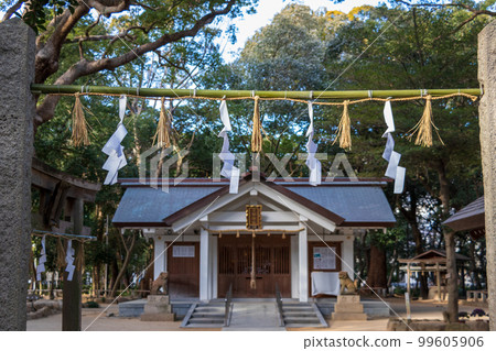 Paper strips and shimenawa decorated on the approach to a shrine 99605906