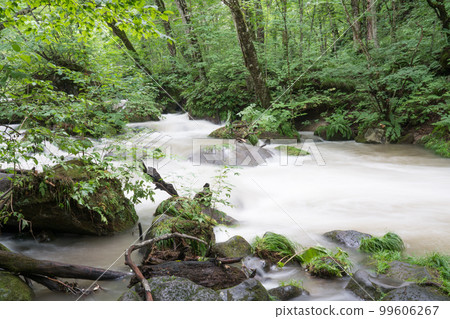 Oirase stream Oirase stream 99606267