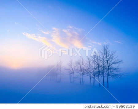 晨霧中極冷的雪原和結霜的樹木 99608189